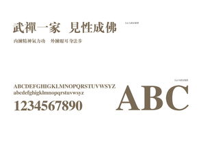 妙渡 个人品牌设计之道，构筑独一无二的事业航标